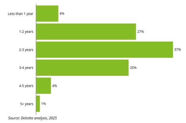 Time taken realise a return on investment of AI